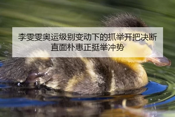 李雯雯奥运级别变动下的抓举开把决断 直面朴惠正挺举冲势