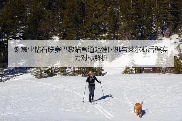 谢震业钻石联赛巴黎站弯道起速时机与莱尔斯后程实力对标解析